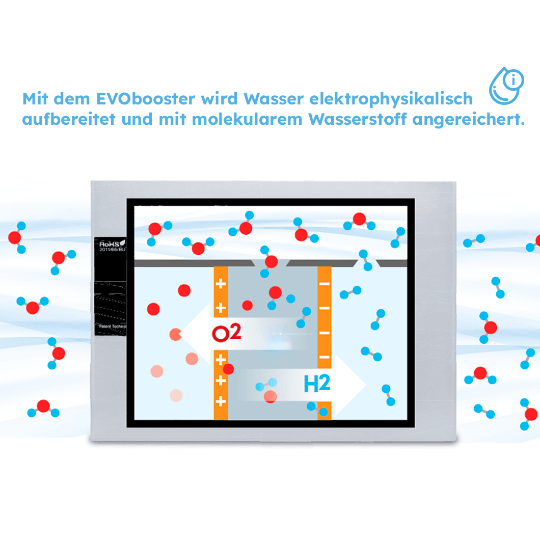 EVOhome Master - Komplettpaket fürs ganze Haus und Küche - mainwasserfilter.com