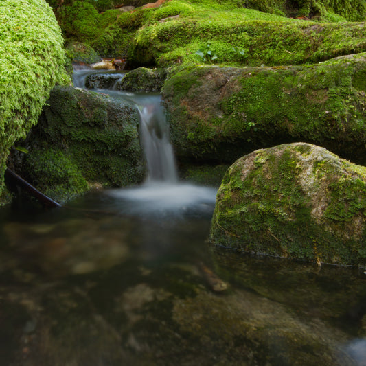 Bild von einem kleinen Fluss mit sauberem Wasser